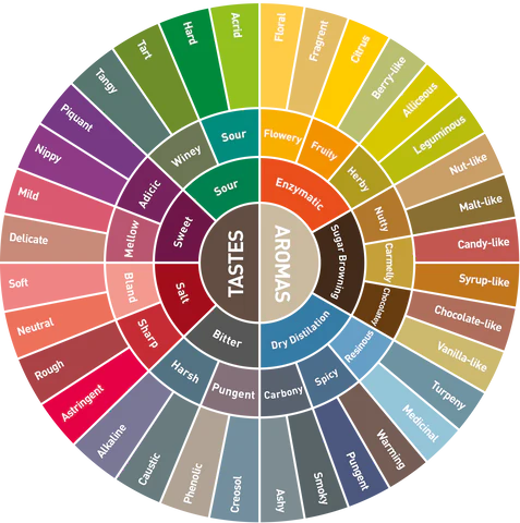 The Art of Coffee Tasting
